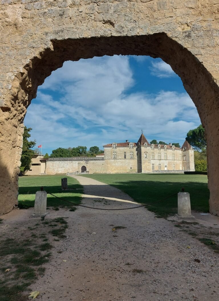 Château Royal de Cazeneuve, quadro.double-double.io